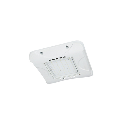 60W आउटडोर एलईडी चंदवा लाइट फिक्स्चर IP66 2200K-7000K