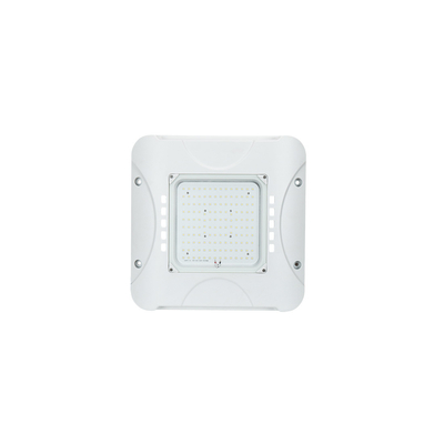 40w-150w आउटडोर एलईडी चंदवा लाइट गैस स्टेशन IP66